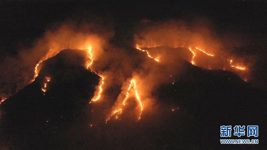巴西森林火灾数量激增 逾半数发生在亚马孙雨林